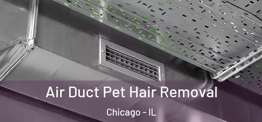  Air Duct Pet Hair Removal Chicago - IL