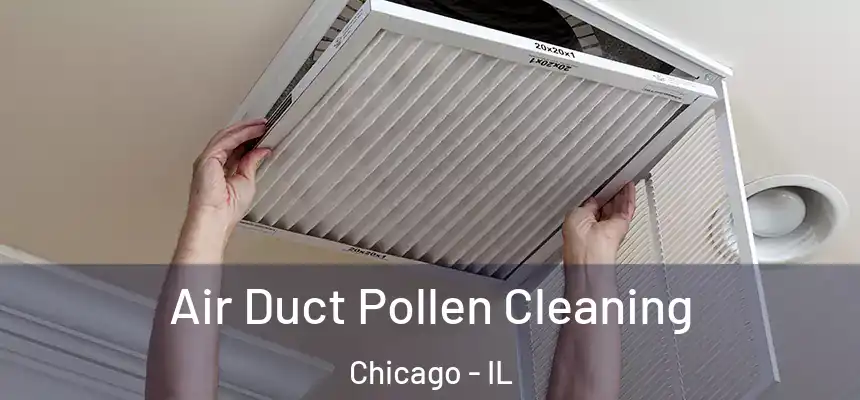  Air Duct Pollen Cleaning Chicago - IL