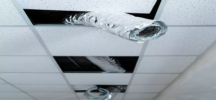 Affordable HVAC Sanitizing After Pest Removal in Chicago