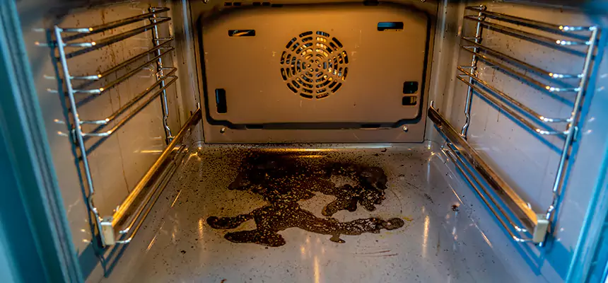 Our Dryer Vent Mold Cleaning Services in Chicago, IL