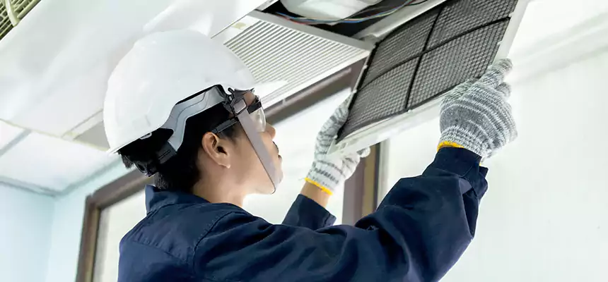 Our Mold & Mildew Removal from Air Ducts Services in Chicago, IL