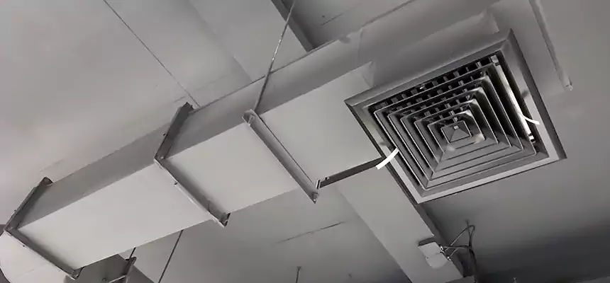 Our Pest Removal From Ducts Services in Chicago, IL