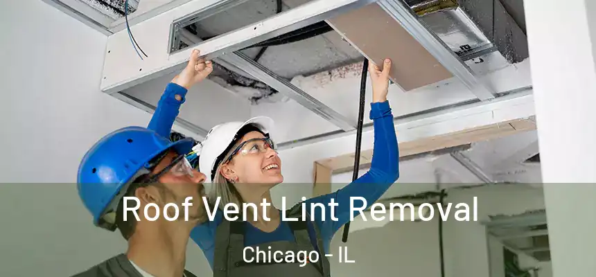Roof Vent Lint Removal Chicago - IL