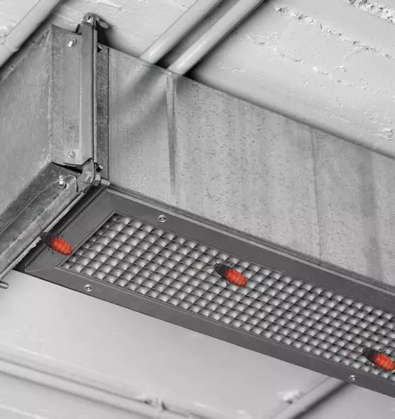 About Air Duct Cockroach Removal in Chicago, IL