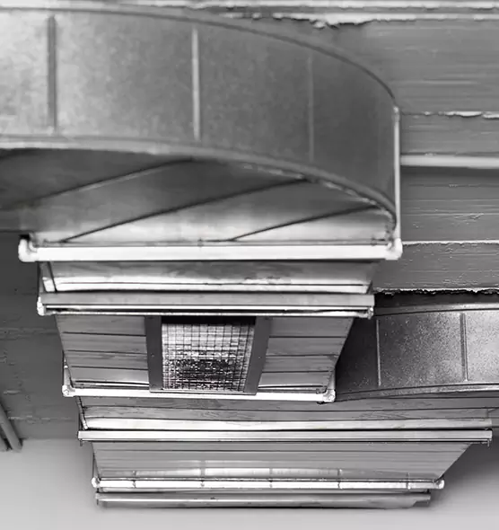 Professional Air Duct Pet Hair Removal in Chicago, IL