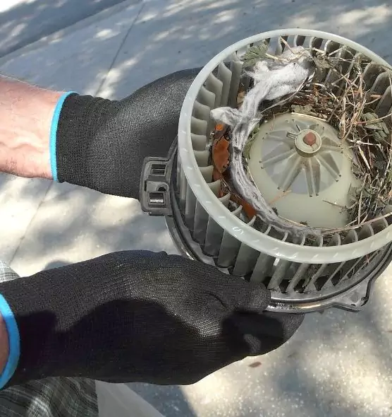 About Air Duct Rat Removal in Chicago, IL