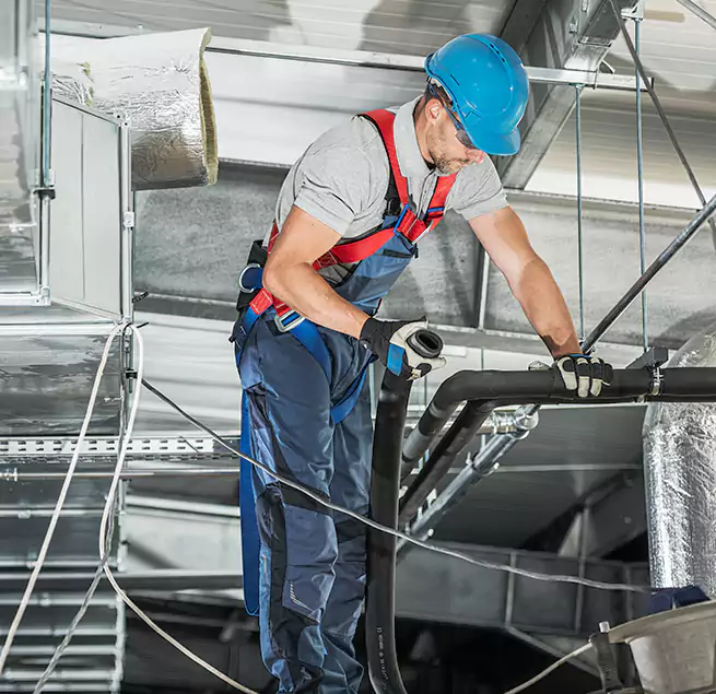 Why Homeowners & Businesses Trust Us in Chicago, IL?