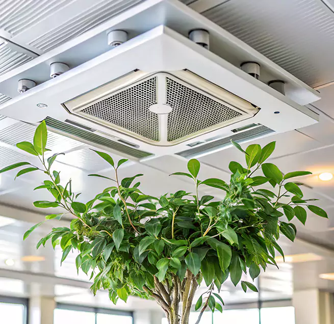 Why Homeowners & Businesses Trust Us in Chicago, IL