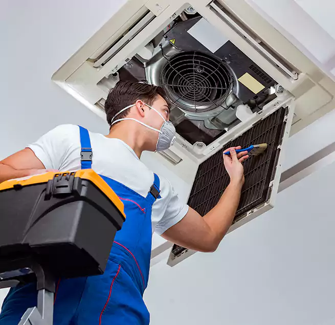 Why Homeowners & Businesses Trust Us in Chicago, IL?