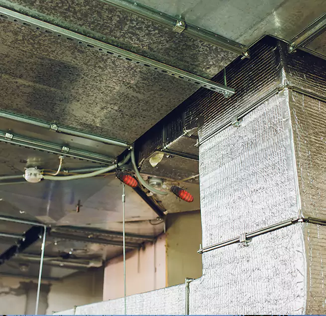 Why Homeowners & Businesses Trust Us Chicago, IL?