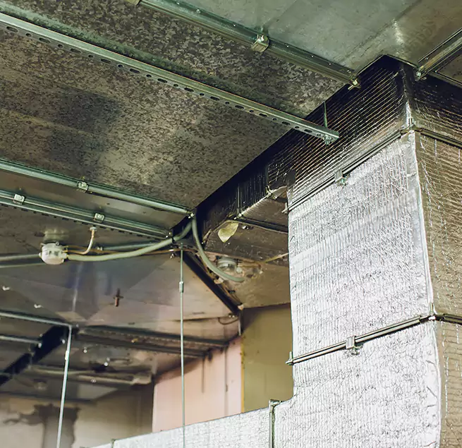 Why Homeowners & Businesses Trust Us in Chicago, IL?