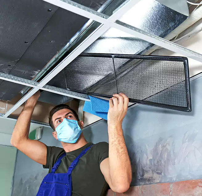 Why Homeowners & Businesses Trust Us in Chicago, IL?